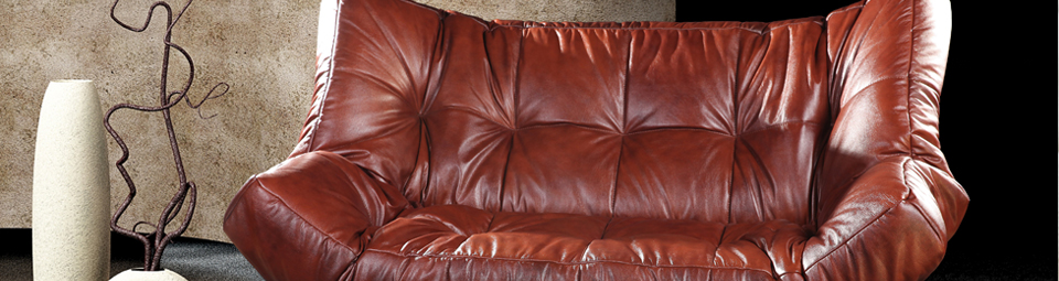 Leather Cleaning in Vancouver by GreenWorks Carpet Care