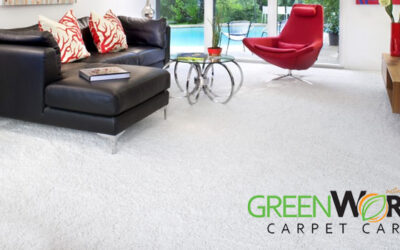 10-Step Carpet Cleaning Process by GreenWorks Carpet Care