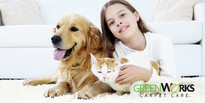 Carpet Cleaning Tips For Pet Owners