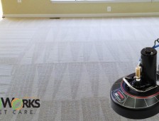 What is the Best Carpet Cleaning Method?