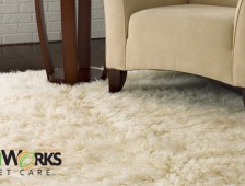 How to Choose a Reliable Area Rug Cleaning Service in Vancouver
