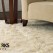 How to Choose a Reliable Area Rug Cleaning Service in Vancouver
