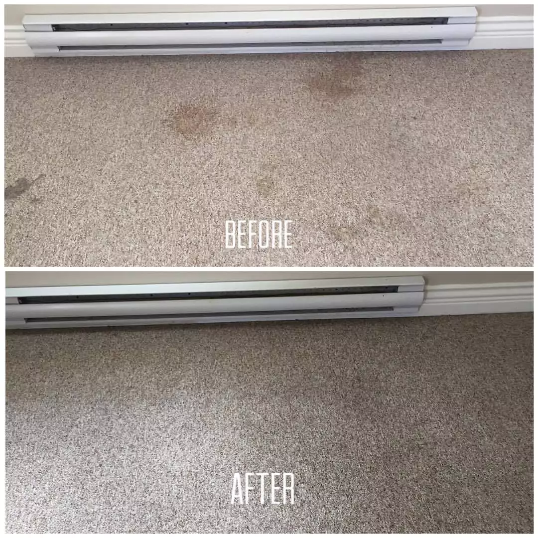 Stain Removal Before & After ()