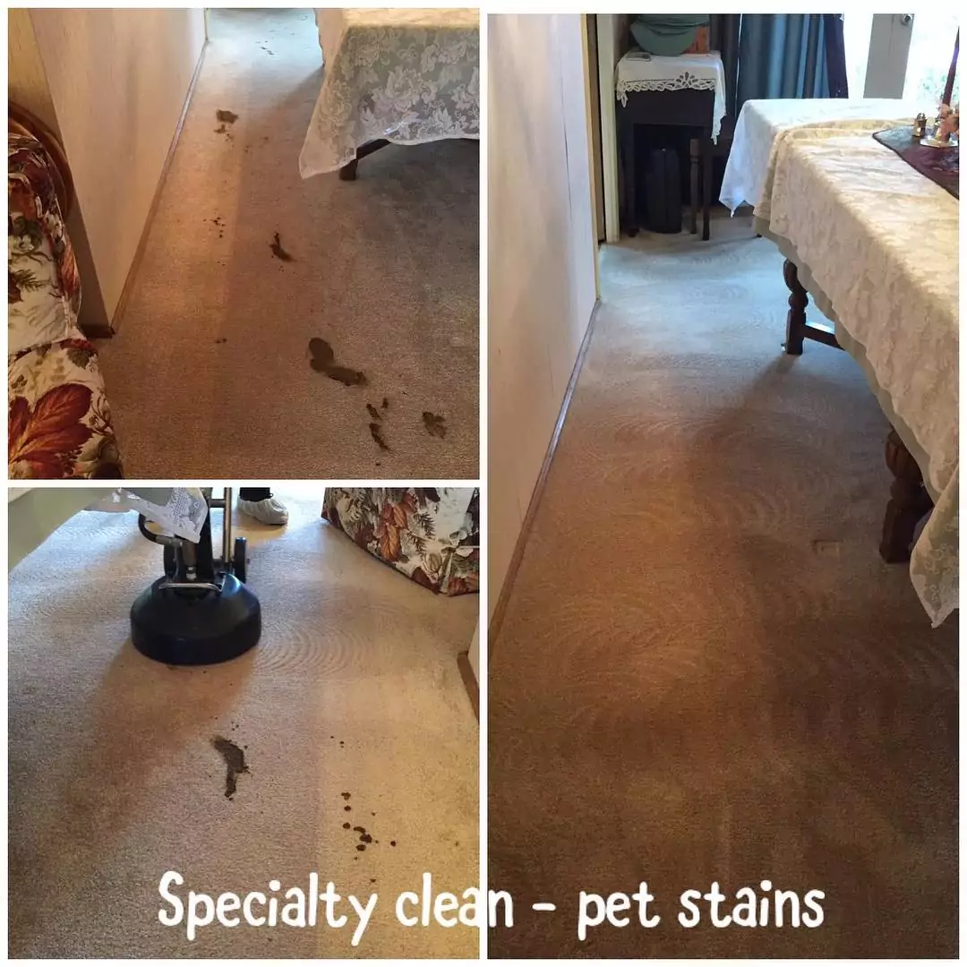 Stain Removal Before & After ()